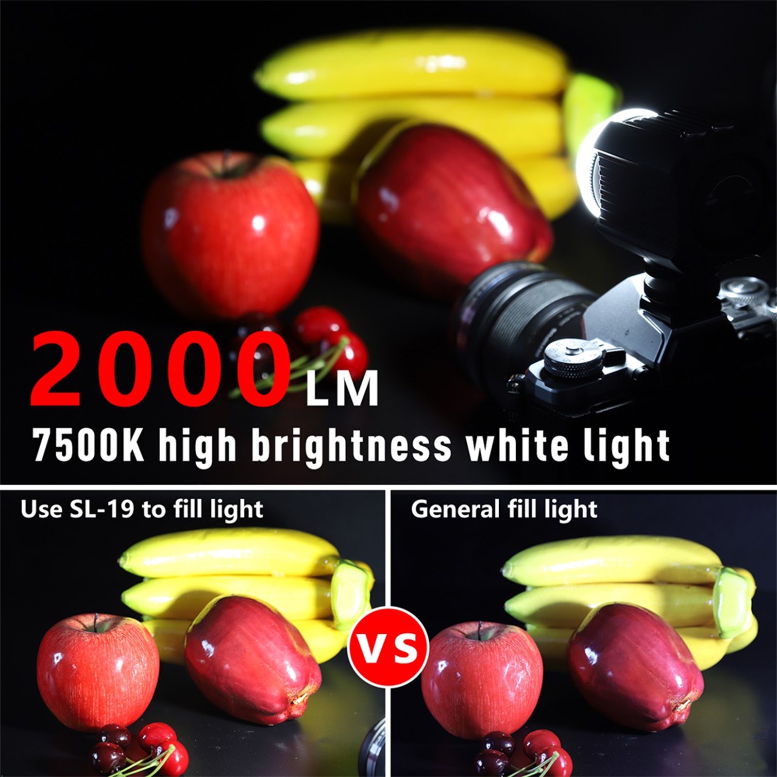 Seafrogs IPX8 60メートル防水ダイビングフィル - Underwater Flashlight のレビューと価格